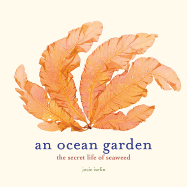 An Ocean Garden by Josie Iselin